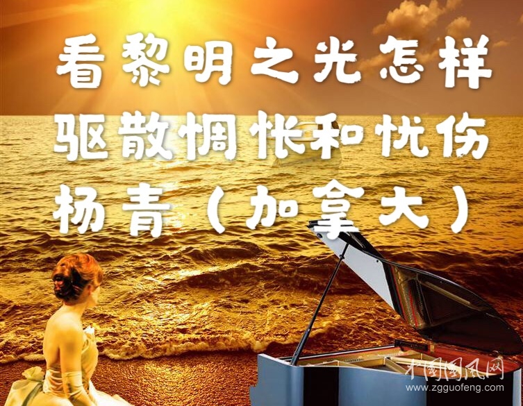 看黎明之光微信圖片_20191021173421.jpg