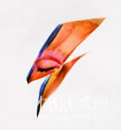 紙上的風(fēng)
