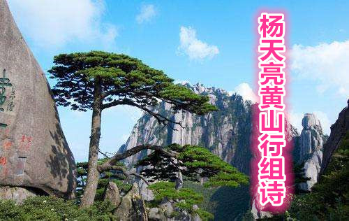 楊天亮黃山行組詩(shī)(三)