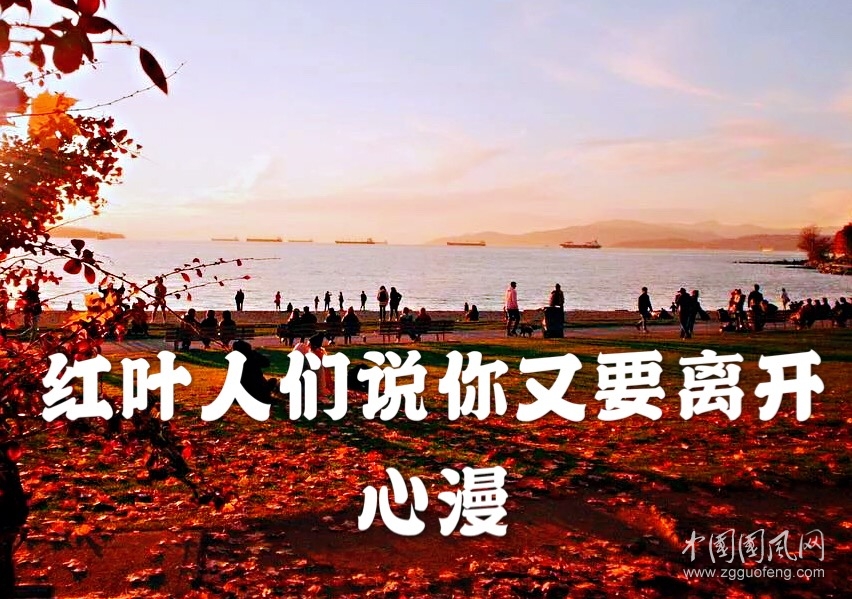 紅葉 人們說(shuō)你又要離開（詩(shī) 心漫）