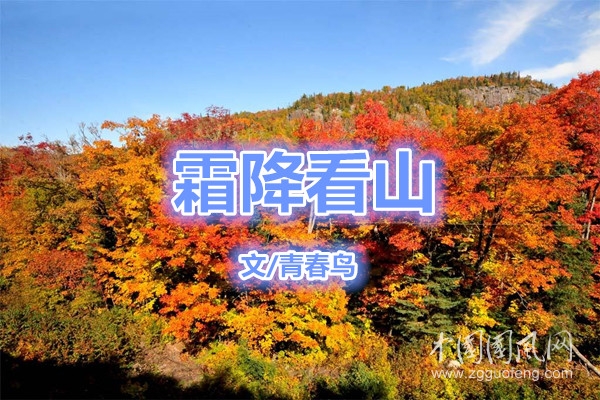  霜降看山(文/青春鳥)