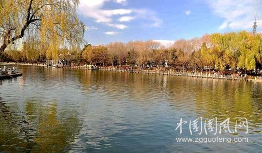 公園.png