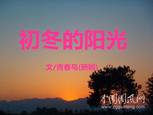  初冬的陽光（文 青春鳥）