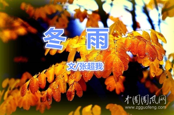  冬雨（文/張超我）