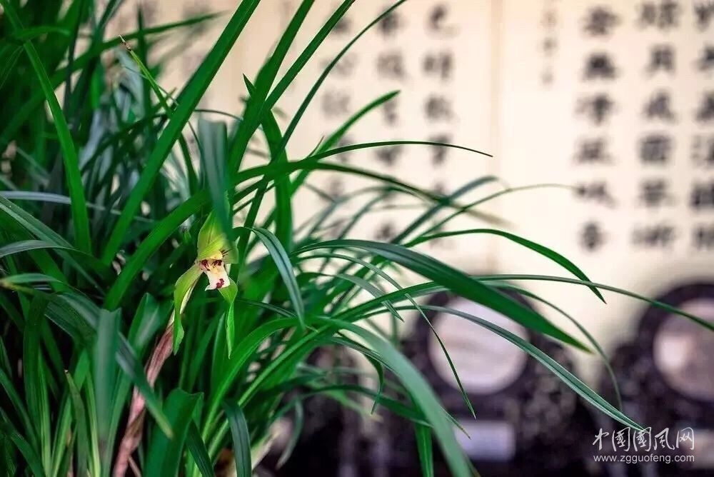  我聽見我走進(jìn)夜的深邃