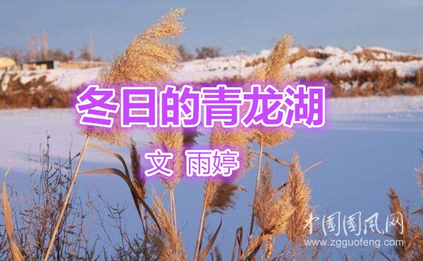 冬日的青龍湖（外二首·文  雨婷）