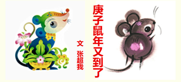 庚子鼠年又到了(文  張超我)
