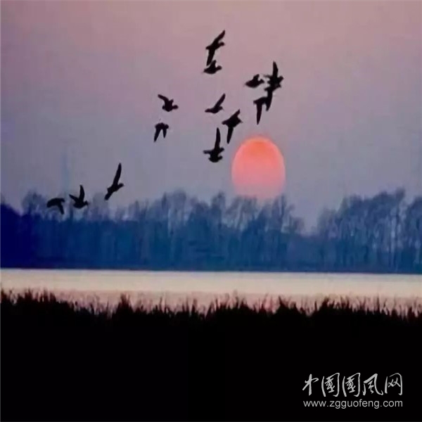 武漢加油（文 劉響鈴）