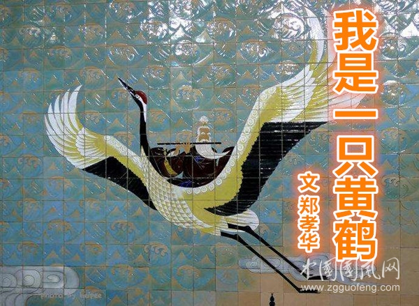  我是一只黃鶴（文 鄭孝華）