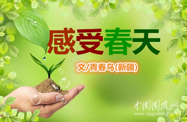  感受春天（文/青春鳥）