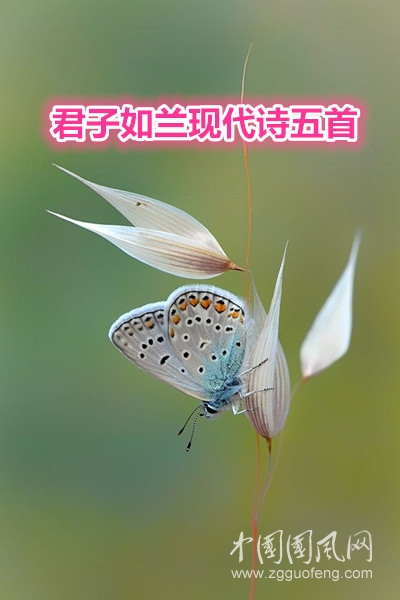  君子如蘭現(xiàn)代詩五首