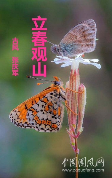  立春觀山（古風(fēng)  張慶軍）