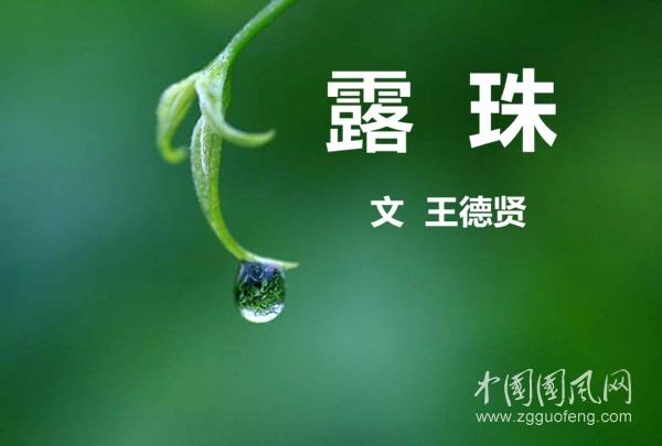 timg (6)_副本.jpg