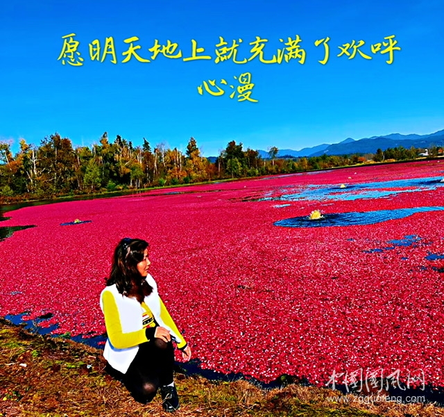 愿明天地上就充滿了歡呼（文 心漫 加拿大）