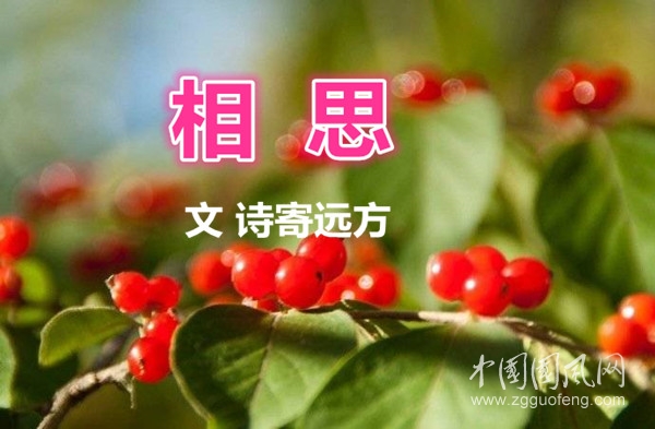  相 思（文/詩寄遠(yuǎn)方）
