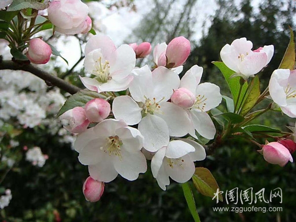 微信圖片_20200421125955_副本.jpg