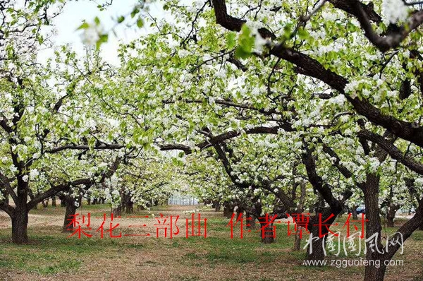 微信圖片_20200421130016_副本.jpg