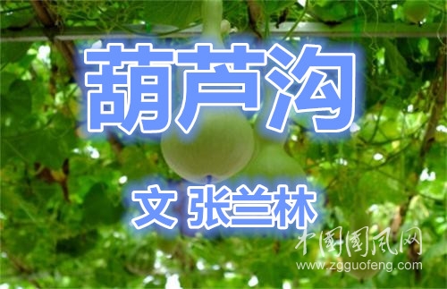  葫蘆溝(文  張?zhí)m林）
