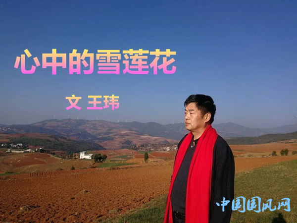  心中的雪蓮花（文 王瑋）