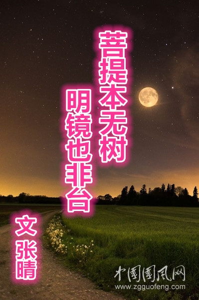 菩提本無樹   明鏡也非臺(tái)（文  張晴）