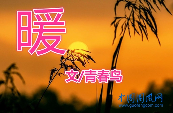  暖（文/青春鳥·新疆）