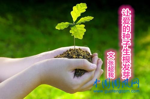  讓愛的種子生根發(fā)芽（文 張超我）