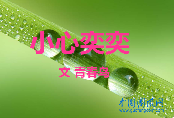 小心奕奕（文/青春鳥  ）