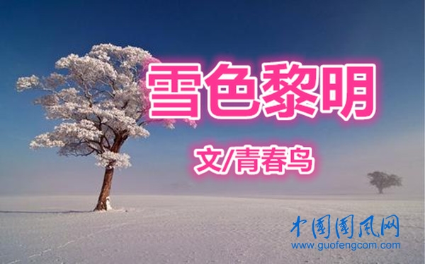  雪色黎明（文/青春鳥）