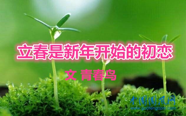  立春是新年開始的初戀