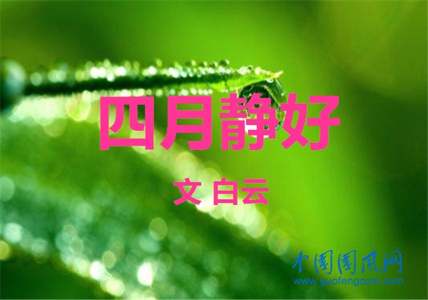  四月靜好（文  白云）