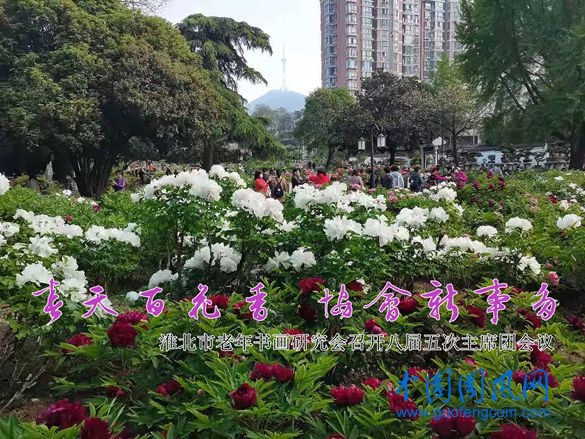 題圖_副本.jpg