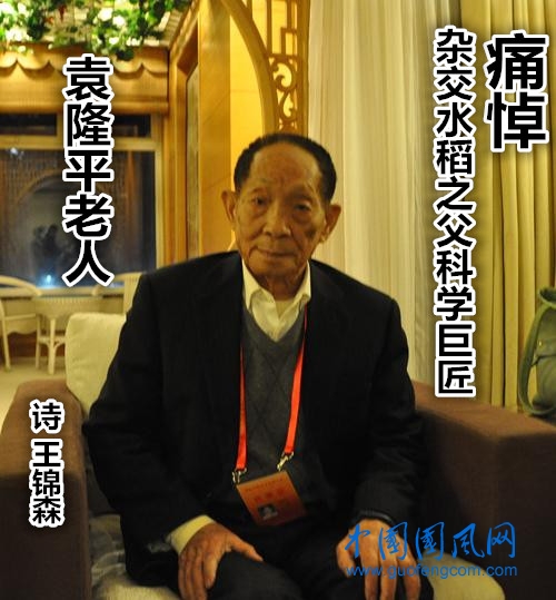  痛悼雜交水稻之父科學(xué)巨匠袁隆平老人(文  王錦森）