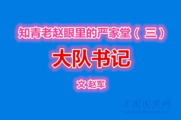  知青老趙眼里的嚴(yán)家堂（三） 大隊(duì)書(shū)記