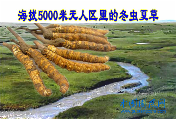 圖片3.png