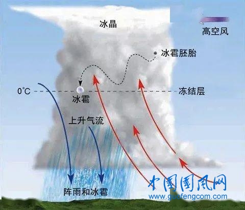 src=http___p4.itc.cn_images03_20200530_4e56f8d5ca6d4240b2d6406c693cb6a1.jpeg&refer=http___p4.itc.jpg