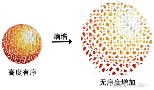 u=392468886,1907847061&fm=26&fmt=auto.webp.jpg