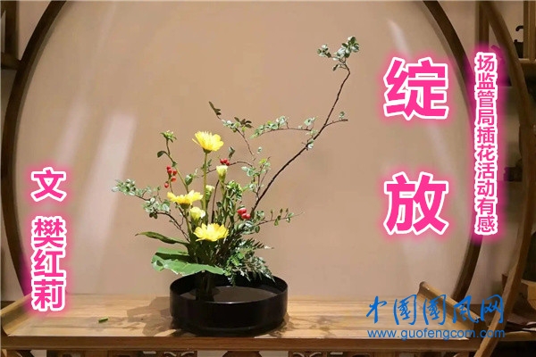 綻放(文  樊紅莉)