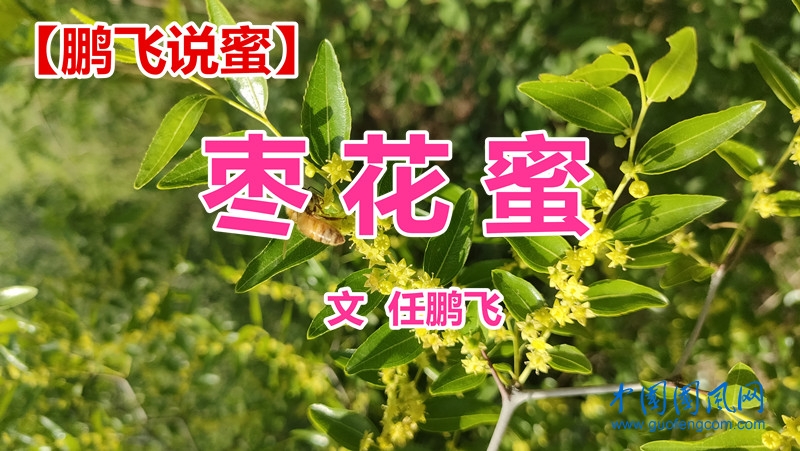 微信圖片_20240912092741.jpg
