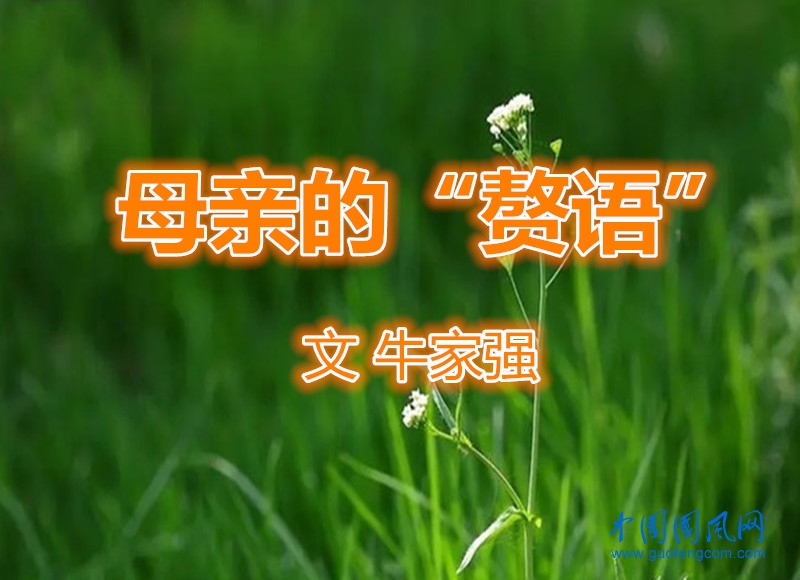 母親的“贅語(yǔ)”
