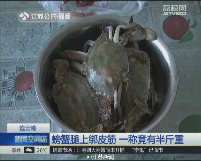 一斤螃蟹半斤是皮筋