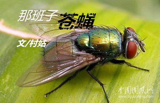 那班子蒼蠅（文 /村姑）