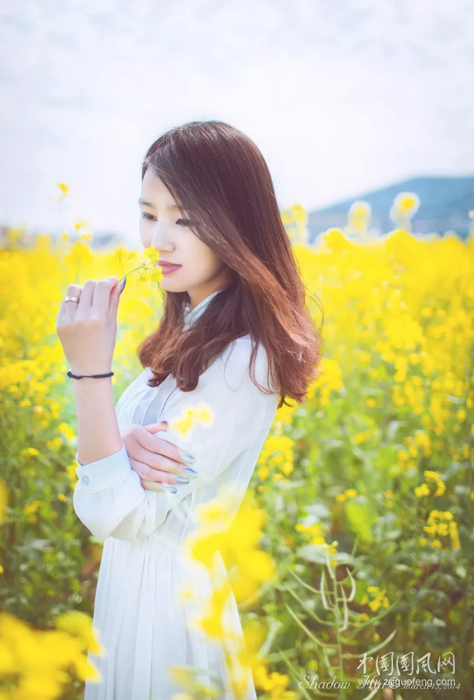 QQ截圖20190410165537.png
