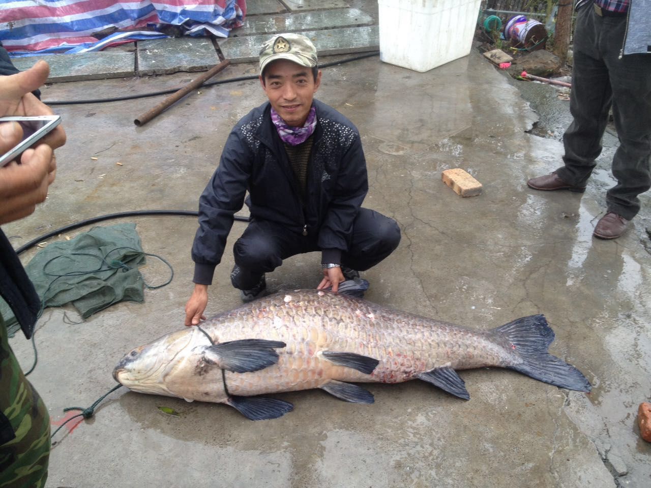 釣魚高手淮北東湖公園再塑傳奇：釣出98.3斤青魚