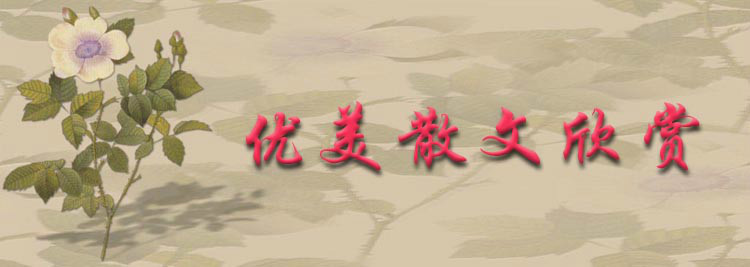 “2016年中國(guó)散文排行榜”在江西揭曉