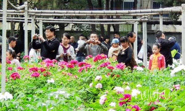 3 春滿人間.jpg