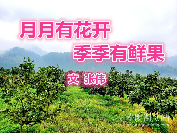 月月有花開，季季有鮮果