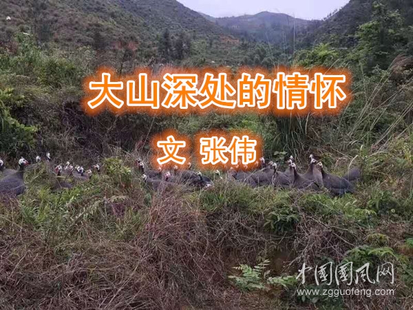   大山深處的情懷