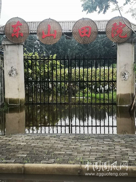  葡萄熟了，大水淹了，果農哭了！