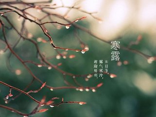 寒露養(yǎng)生：朝鹽晚蜜清淡飲食