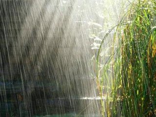 雨水時節(jié)的養(yǎng)生重點